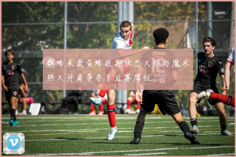 群蜂来袭黄蜂近期状态火热与魔术热火并肩争夺季后赛席位